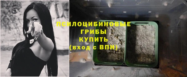 ПСИЛОЦИБИНОВЫЕ ГРИБЫ Надым