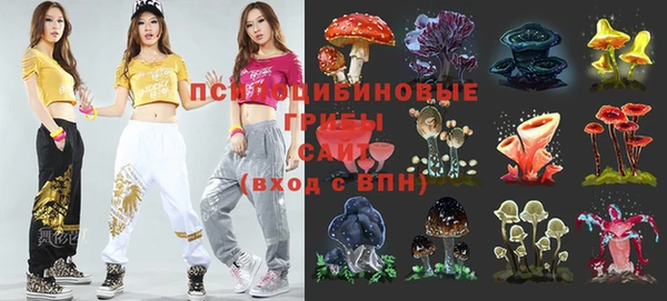 ешки Михайловск