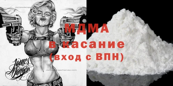 индика Ельня