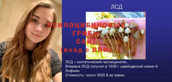 стаф Михайловка