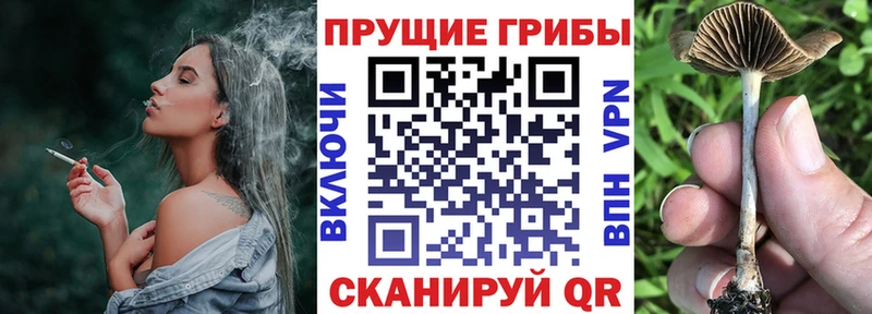 хочу   hydra онион  нарко площадка состав  Инсар  Псилоцибиновые грибы мухоморы 